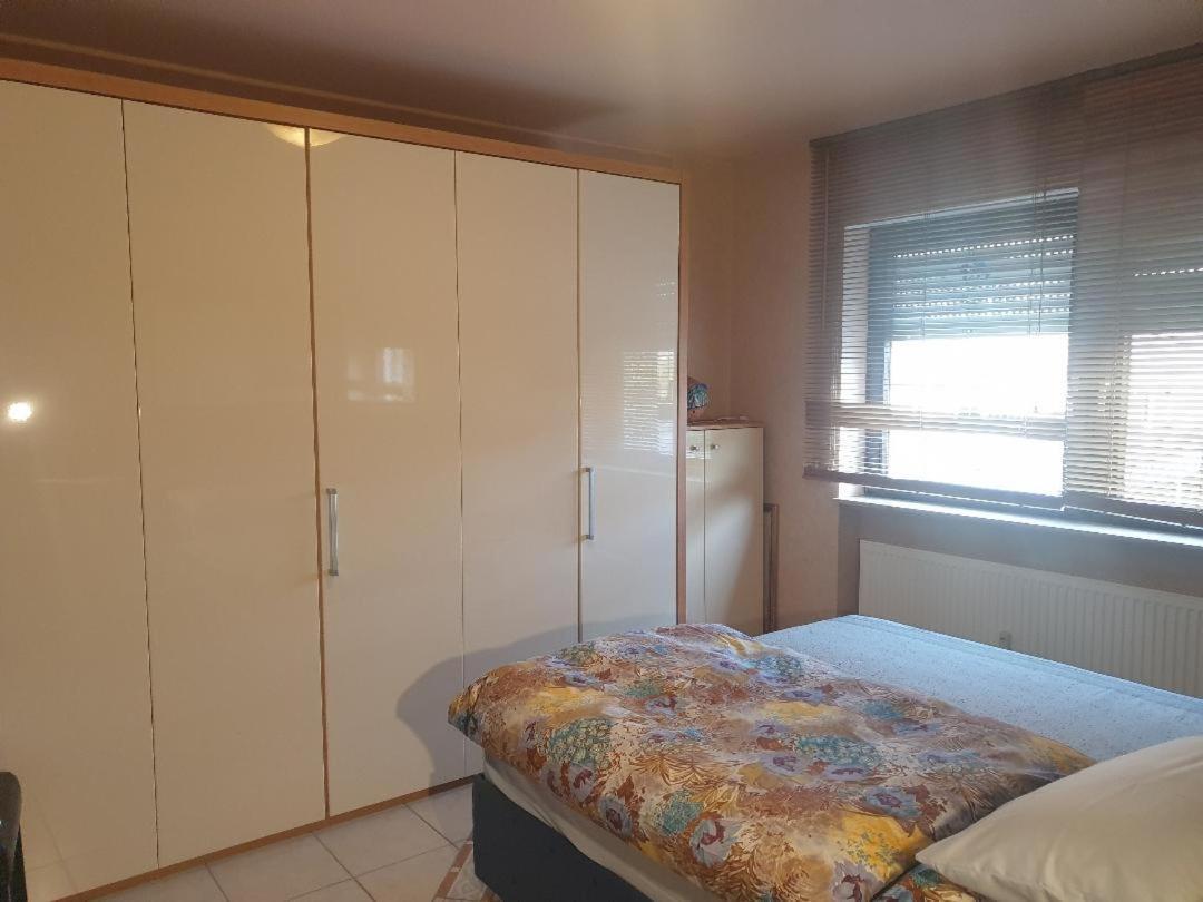 Rose'S Ferienwohnung Freigericht Luaran gambar